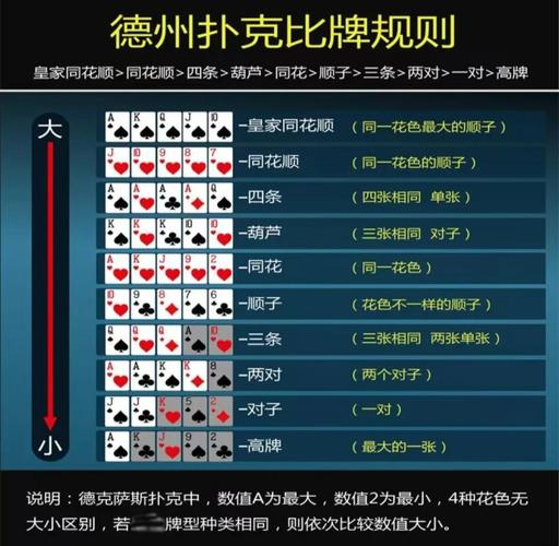 玩德州扑克，掌握牌型隐含信息，明智判断局势走向
